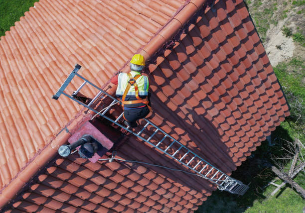 Best Asphalt Shingle Roofing  in Lemont Furnace, PA